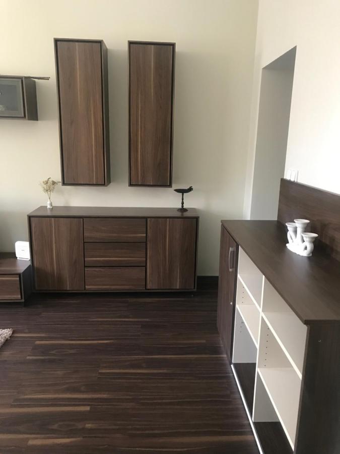 Apartman U Kolonady カルロヴィ・ヴァリ エクステリア 写真